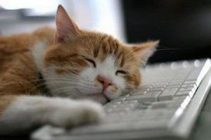 productivity