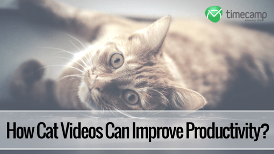 improve productivity