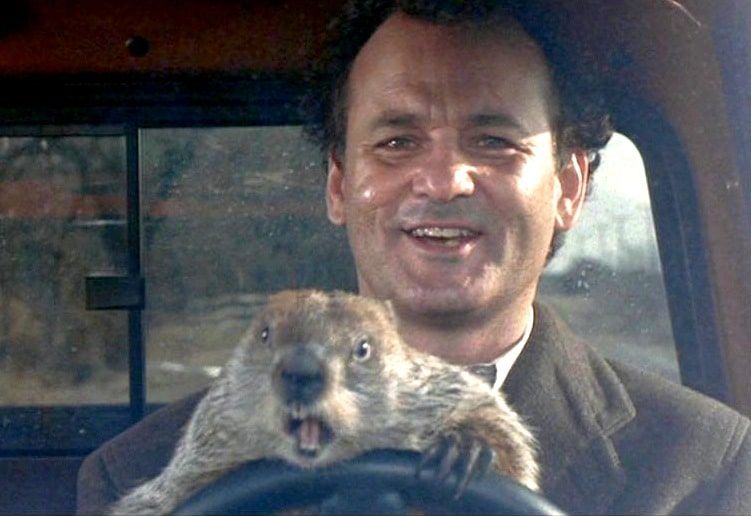 groundhog day