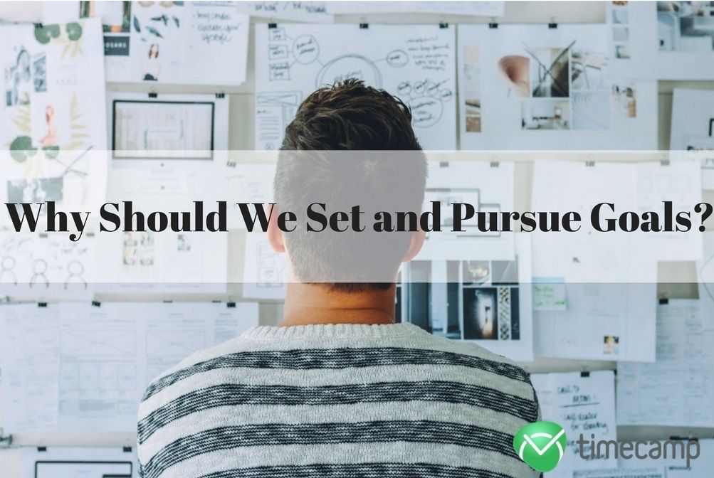 Why Should We Set and Pursue Goals? TimeCamp