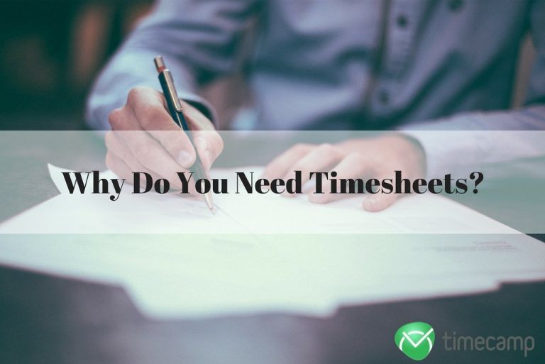 cant see timesheets in timecamp