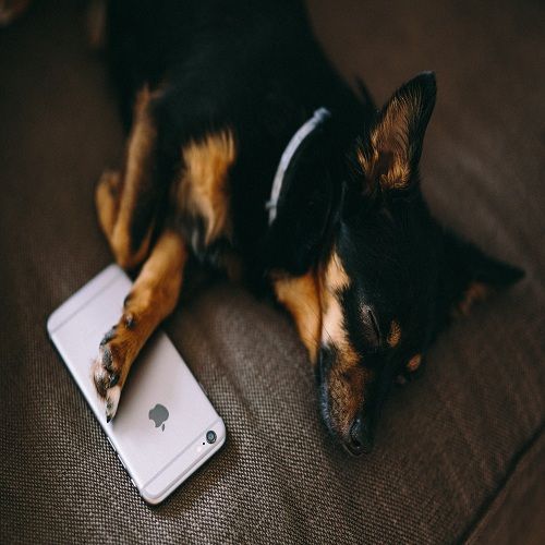 how-to-communicate-in-a-startup-company-featured