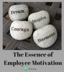 The Essence of Employee Motivation