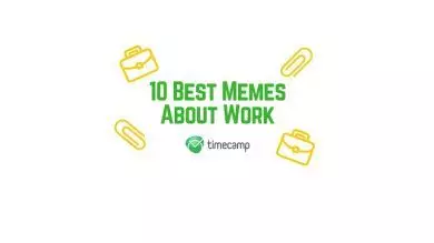 10 Best Memes About Work