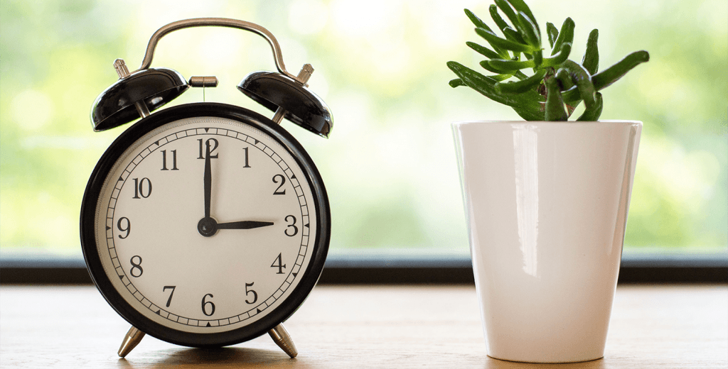 Everything You Need to Know About Timekeeping Apps for Employees TimeCamp