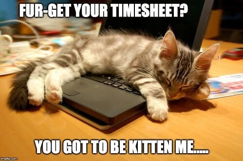 Check Out Our Top Timesheet Memes! - TimeCamp