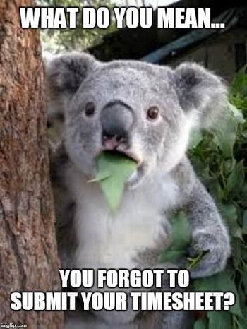 Check Out Our Top Timesheet Memes! - TimeCamp