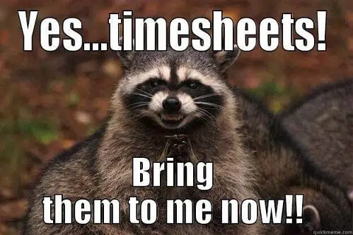 Racoon timesheet meme