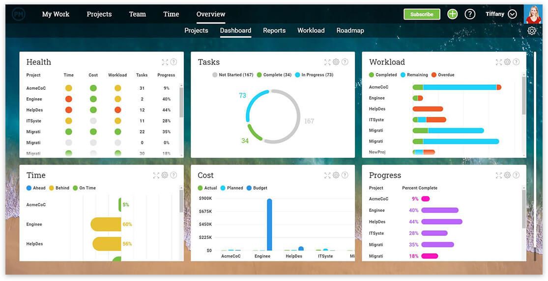 ProjectManager - business process improvement tool