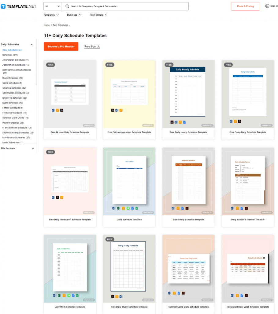 Template.net Daily Schedule Templates