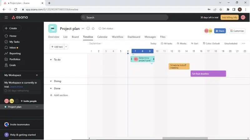 asana screenshot