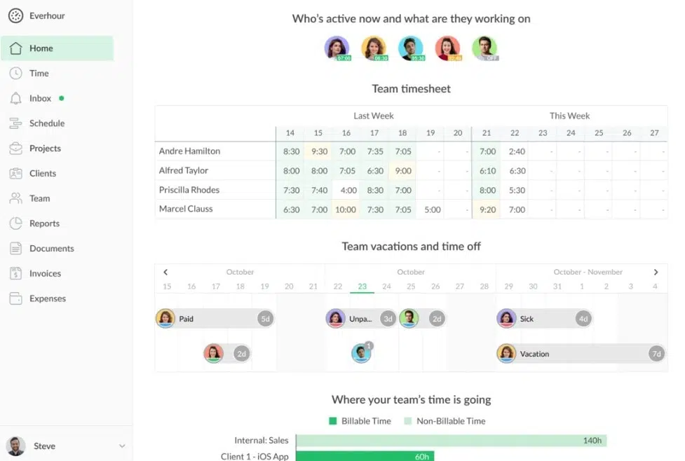 everhour time tracking software home screen
