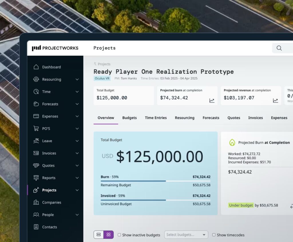 projectworks tool for large organizations